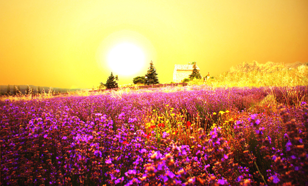 除夕的俗称是什么 这一天出生的宝宝命好吗