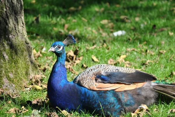 快递公司起个什么名字 独特有创意的公司名字