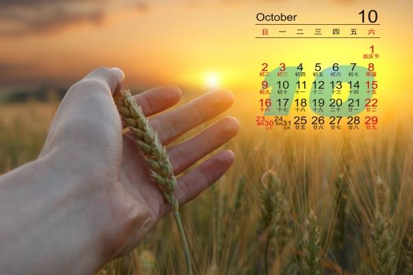 天蝎座2023年复合运势如何 今年感情运好不好