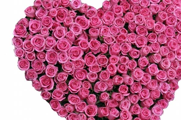 2023年1月1日五行穿衣指南 此日穿白色衣服则六合同春