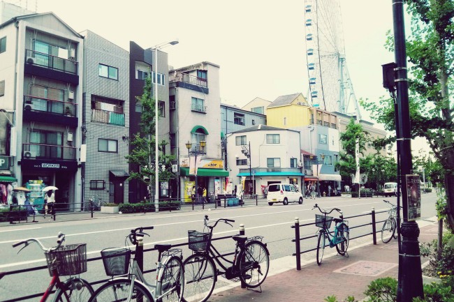 金牛座每月运势2023年 十月运气上升 收获多多