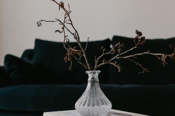 2023年立春当天出生好不好 这一天属相的算法