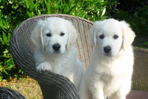 2023年1月3日五行穿衣指南 今日穿深蓝色衣服可气壮山河