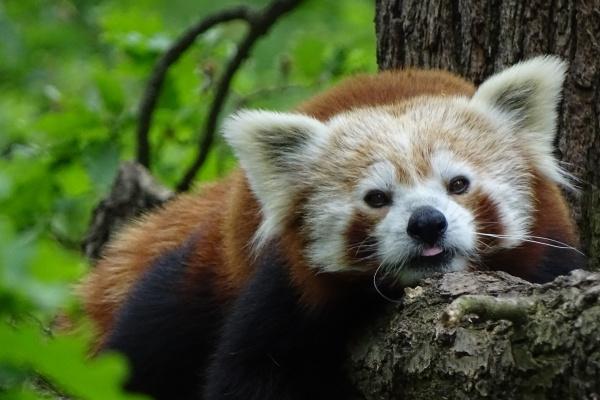 公司名字三个字的有哪些 三个字好听到爆的公司名字