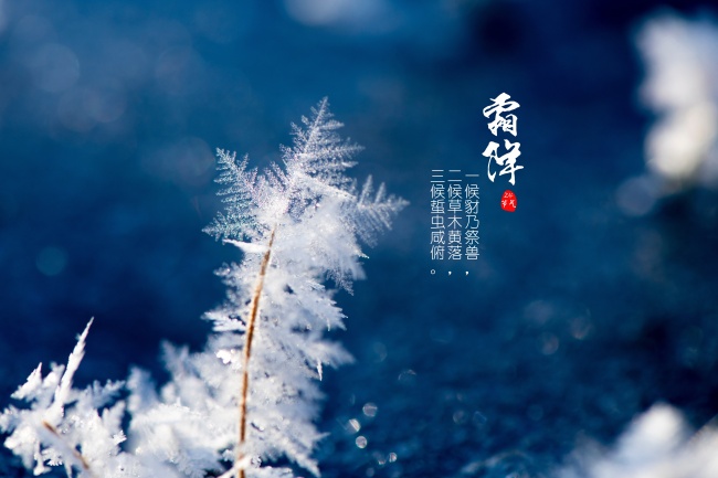 如何查自己的命格 羊刃格男命行什么运最好