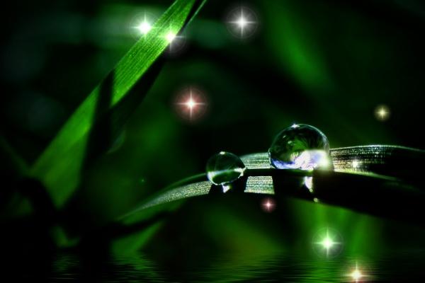 梦到被审预示什么