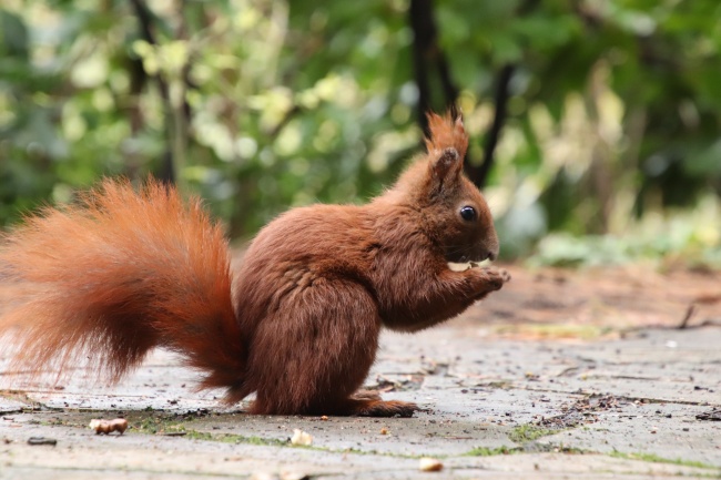 所有三个字的公司名字 公司名称3个字的顺口