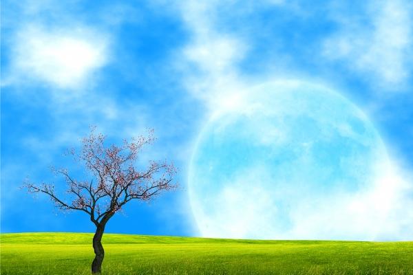 婚姻八字看日柱还是年柱 八字合婚口诀