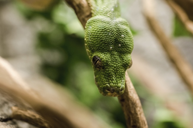 丙子日柱遇2023流年运势如何 丙子日柱是什么命