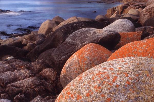 梦见环境污染怎么样
