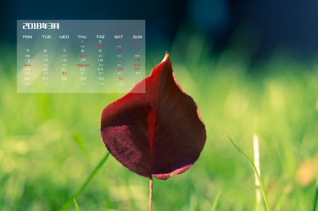 除夕夜的风俗有哪些 除夕生子寓意吉祥