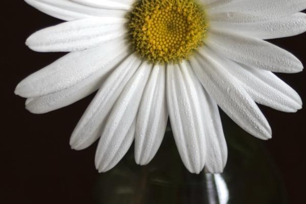 除夕节日名称 除夕这天出生的宝宝八字命运