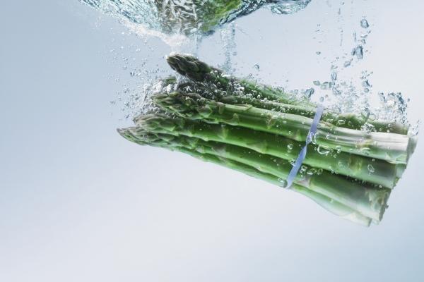 2023甲木遇卯流年运势 感情和事业是否能顺利