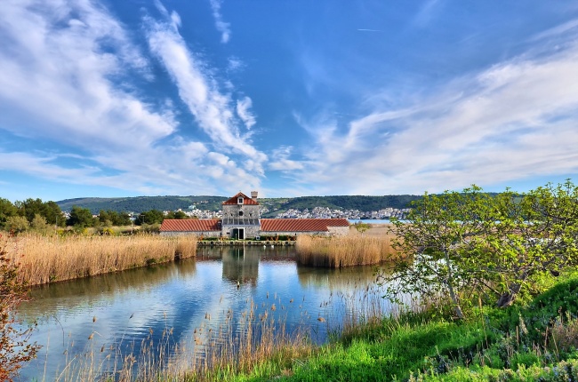 日柱癸水女命 癸水女命的夫星是什么