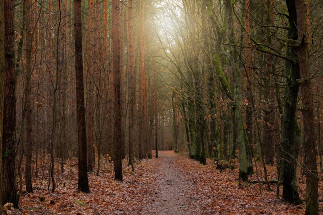 除夕出生的神仙 除夕出生的人生运程分析