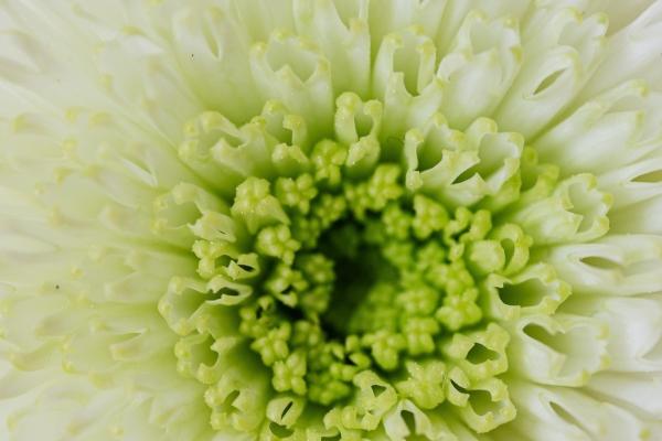 2023年1月27日结婚嫁娶黄道吉日 此日结婚则百年偕老永团圆