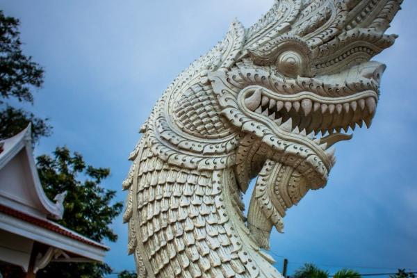 卯戌合闭库怎么冲开 卯戌合闭火库还能开吗