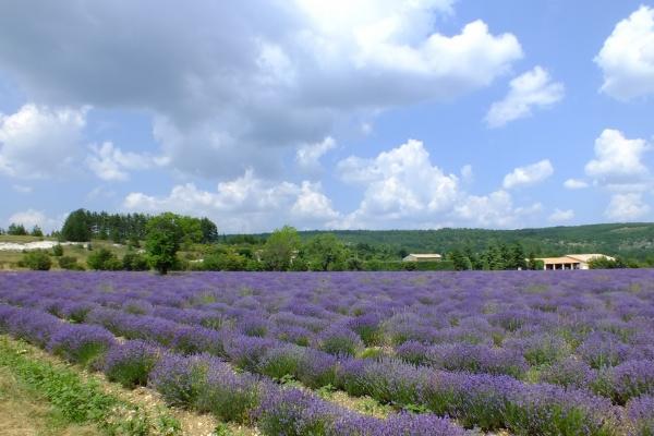 2023年元宵后容易遇到麻烦的星座,凡事都应该谨慎低调