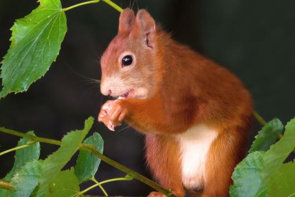 2023年双鱼座春季财运分析  具体了解