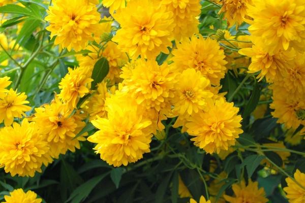 生日在除夕 除夕过生日喜上加喜且运势昌盛