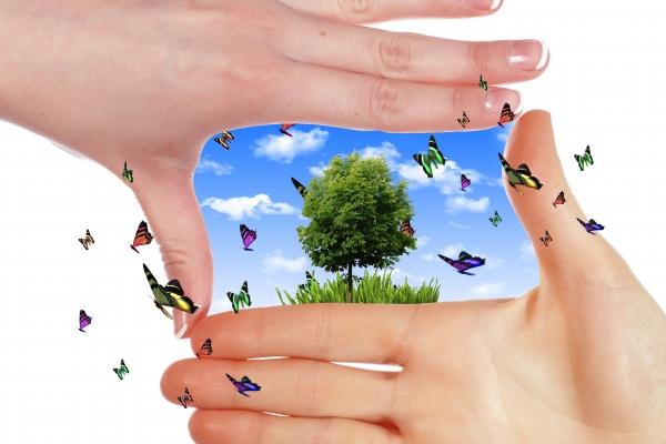 2023年除夕后事业运爆棚的星座解析 走上事业巅峰