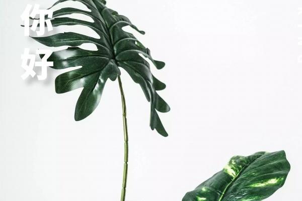 梦见火车票丢了是什么征兆