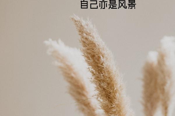 艾菲尔  开年见喜！一月【爱情来了】星座点名