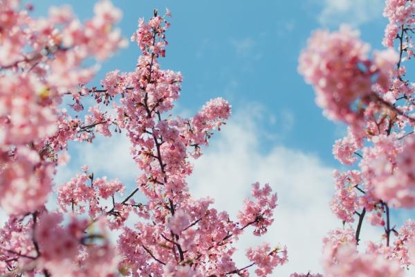 南北方小年为什么差一天 小年有什么风俗吗