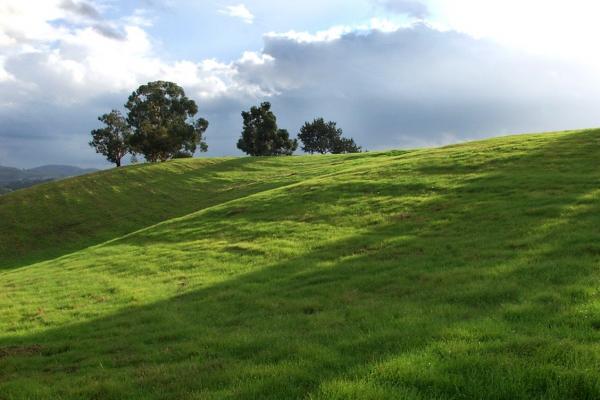 2023年8月偏财运最好的星座 投资收益多多