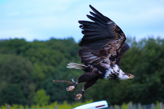 8月正财运最好的星座2023年 财富滚滚而来