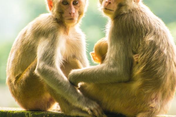 唐立淇  每日星座运势1.6