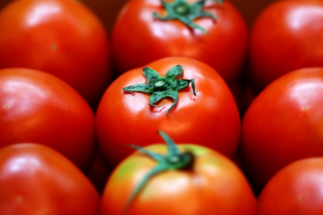 2023年是属兔五行属什么 兔宝宝的性格分析