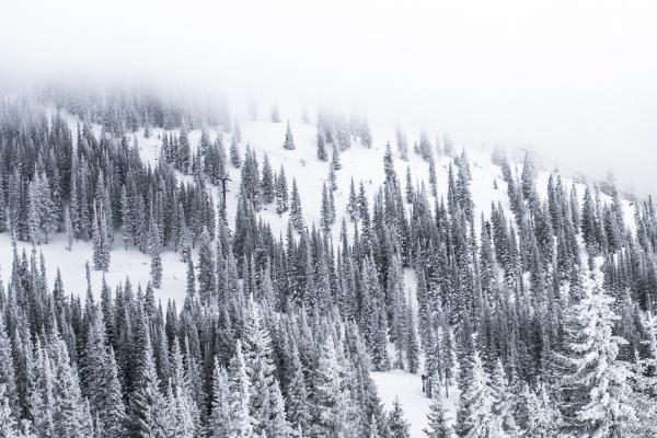 今日旺运势穿搭 2023年2月24日五行穿衣