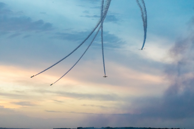 2023年五行是什么金 今年出生的兔宝宝性格如何