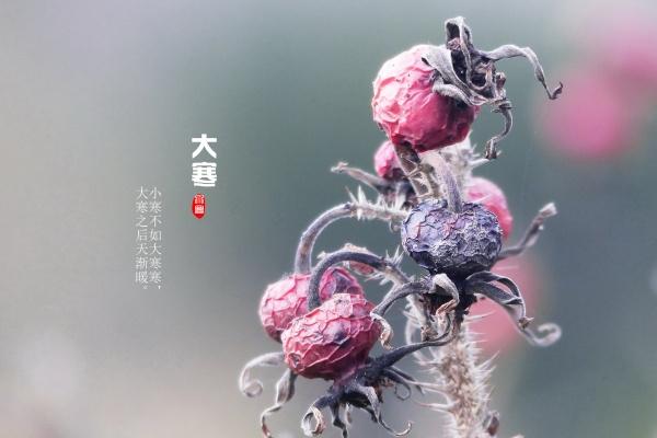 2023年兔宝宝出生五行属什么 运势怎么样