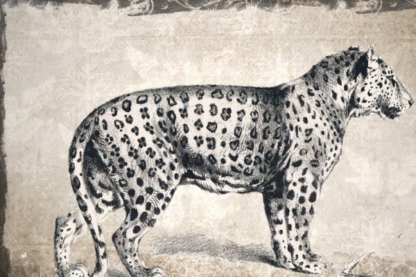 带财气的公司名字 招财旺生意的公司名字