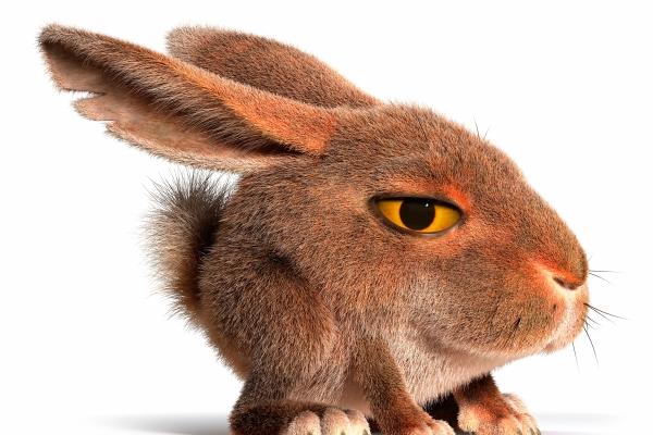 2023年双春年生孩子好不好 性格怎么样