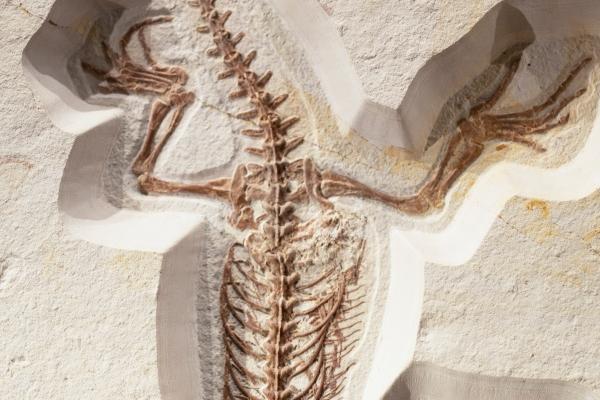 2023年大年初九财神方位在哪个方向