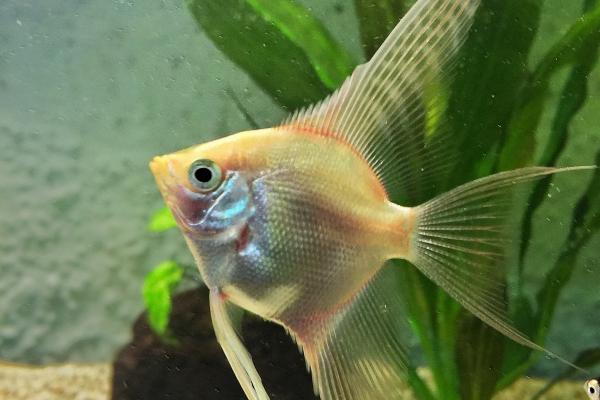 财运好的公司名字 寓意聚财的公司名字