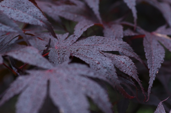 公司好听又聚财的名字 寓意公司发展好的名字