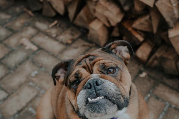 公司吉利名字大全 积攒福气的公司名字大全