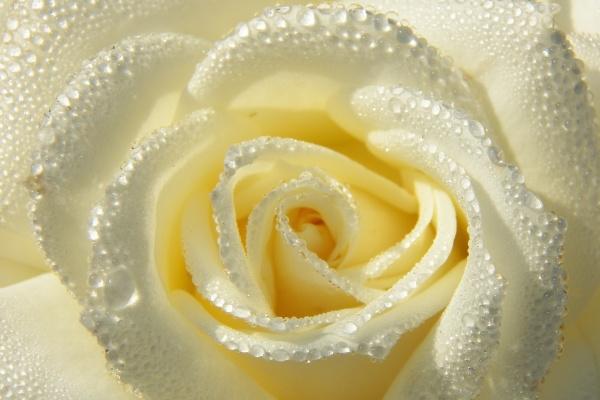 比较有财运的公司名字 又顺利又有财气的公司名字