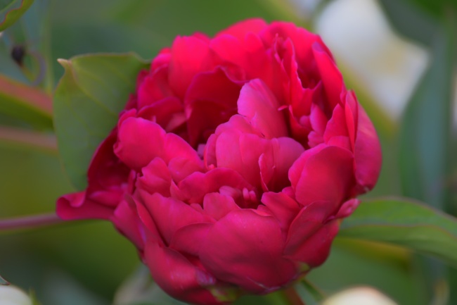 梦到煮面吃是好是坏