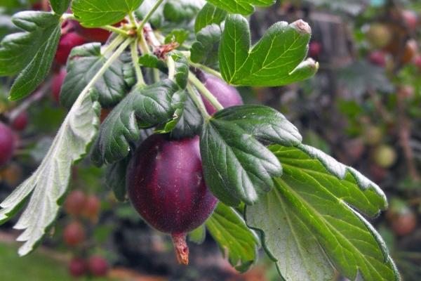 好听有财气的公司名字大全 发财又吉祥的公司名字