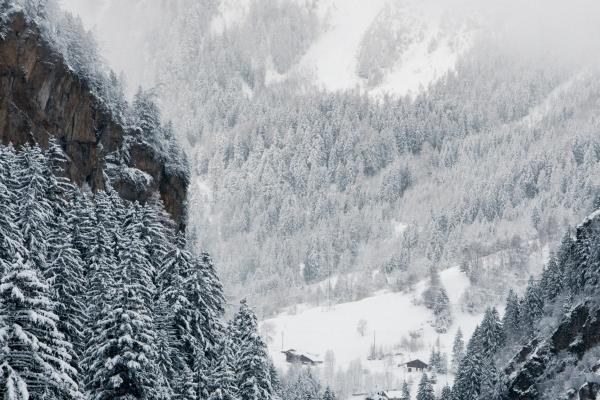 2023年除夕财神方位在哪个方向