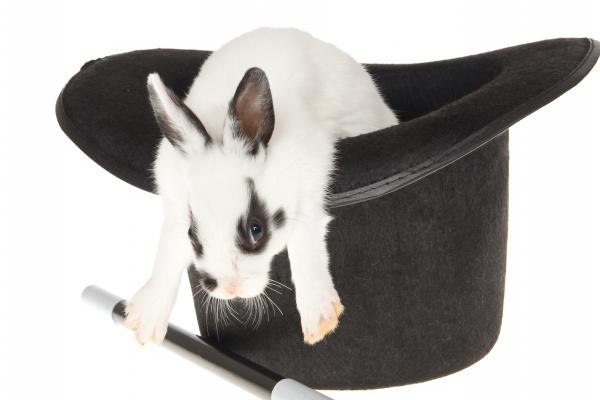 2023年有姻缘的八字 2023年有喜事的八字