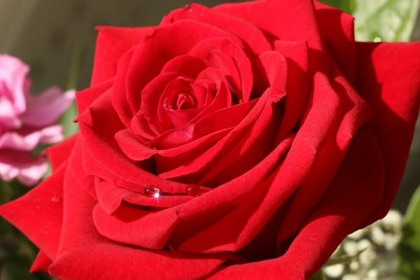 梦到被死人骂意味着什么