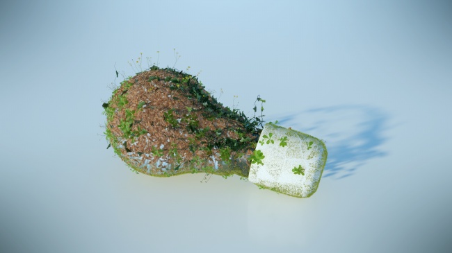 天蝎座2023年身材变化大吗 今年的运势如何