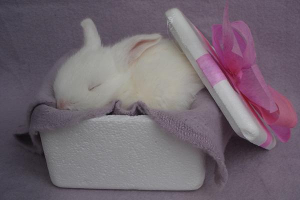 梦到了已过世的妈妈意味着什么