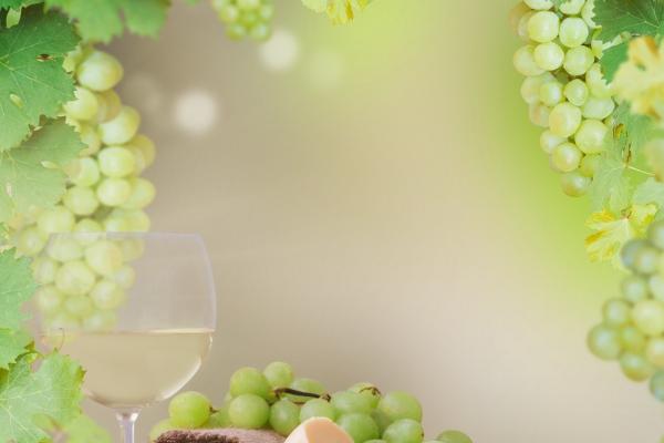 87年天蝎座2023年财运如何 好坏参半的一年